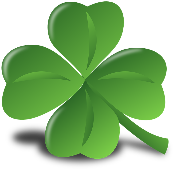 Lucky Bike Paderborn Detmolder Straße Paderborn Four-Leaf Clover Luck - Free vector graphic on Pixabay