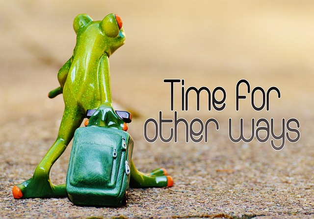 Abschied Bestattungen Kramer Und Freilinger Gbr Frog Time For Other Ways Farewell · Free photo on Pixabay