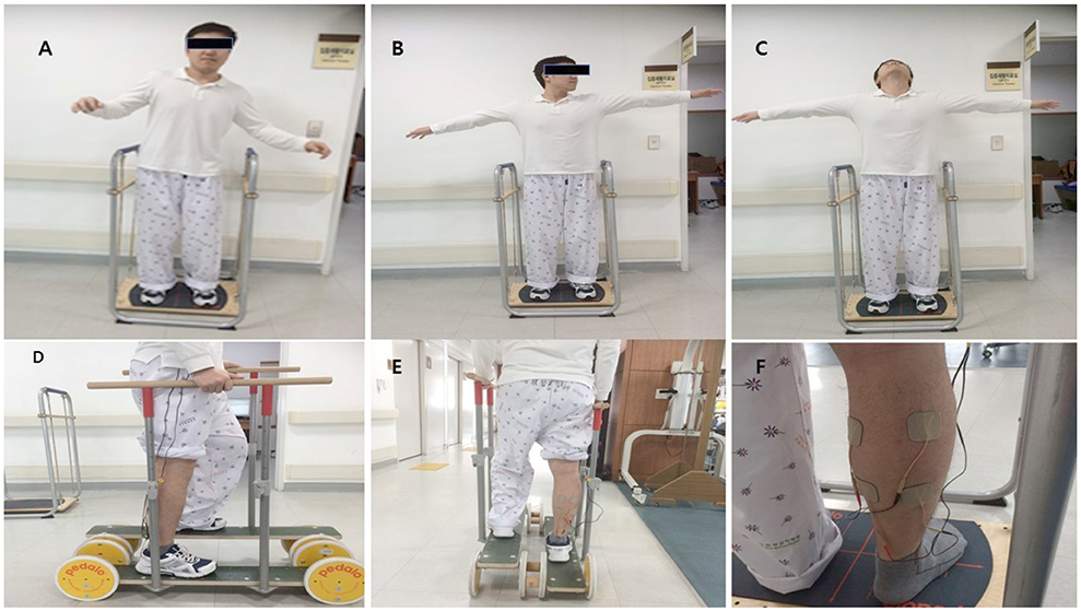 Reha Zentrum Salutaris Gmbh & Co Kg Frontiers | Multi-Sensorimotor Training Improves Proprioception and