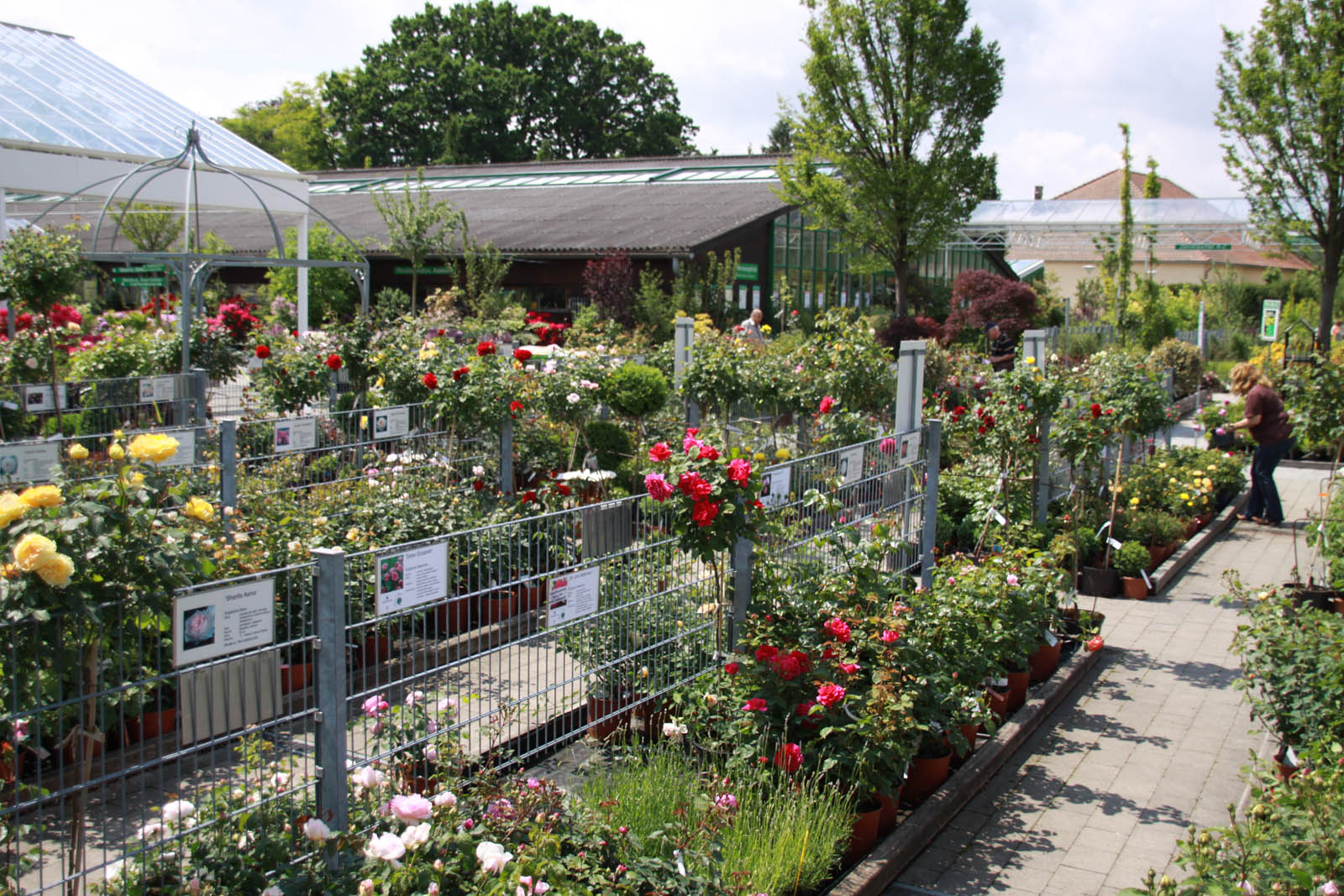 Gartencenter In Der Nähe Sonntags Geöffnet