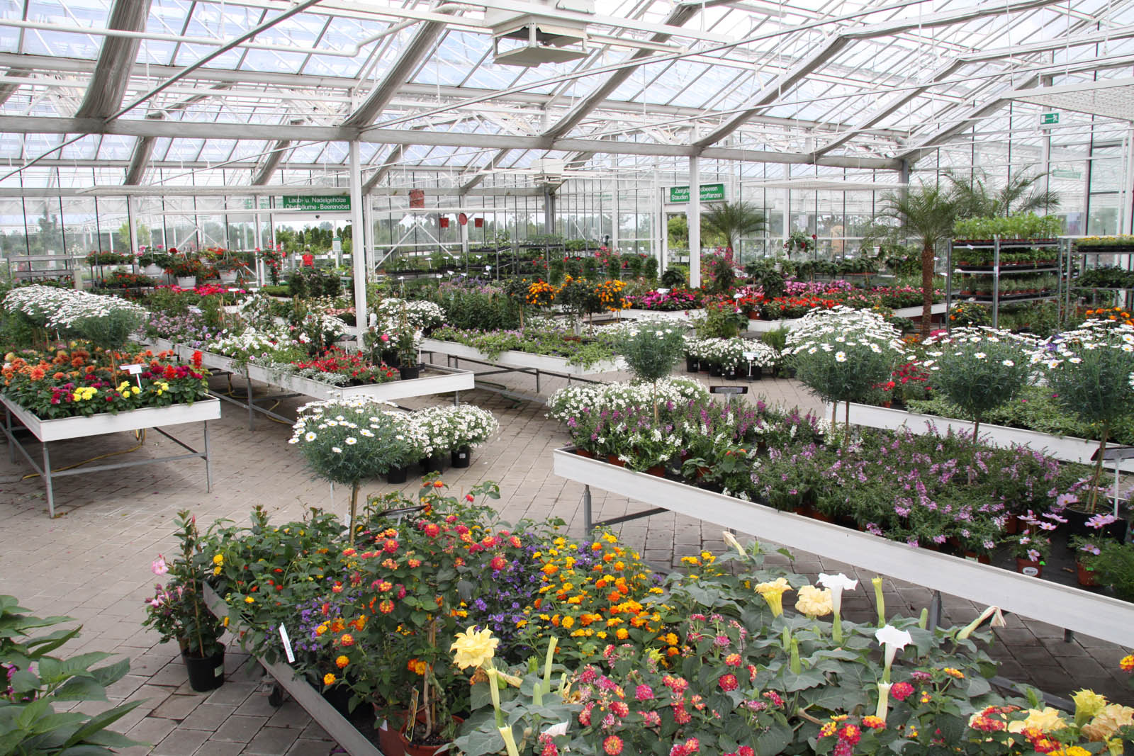 Gartencenter In Der Nähe Sonntags Geöffnet Gartencenter für Wien und Niederösterreich - Praskac das Pflanzenland