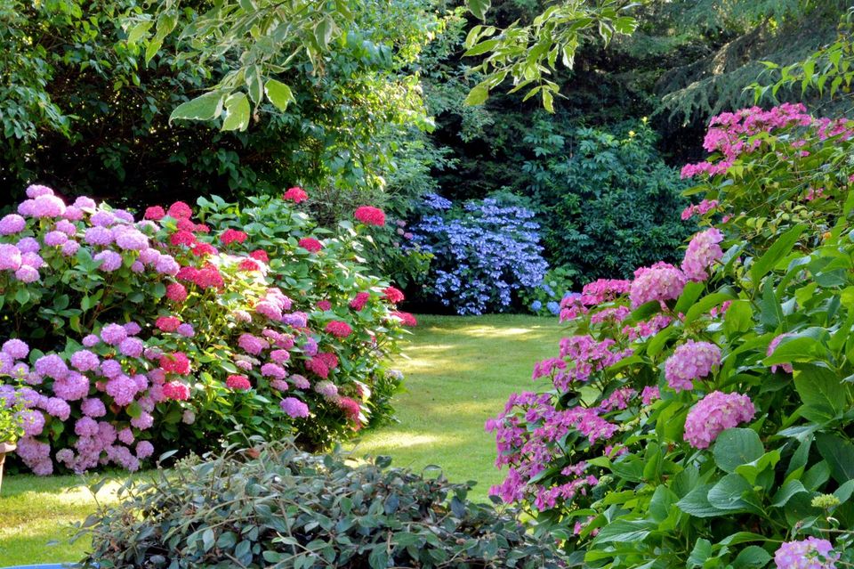 Garten-center Kremer Gmbh Lüttringhauser Straße Remscheid Gartenhaus einrichten: Ideen & Tipps - [SCHÖNER WOHNEN]