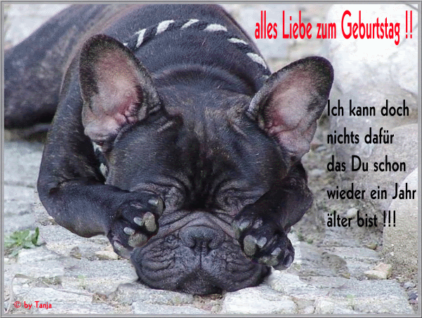 Zu Welchem Bundesland Gehört Lübeck Glückwunsch Geburtstag Hund, Untitled... | wünsche zum geburtstag