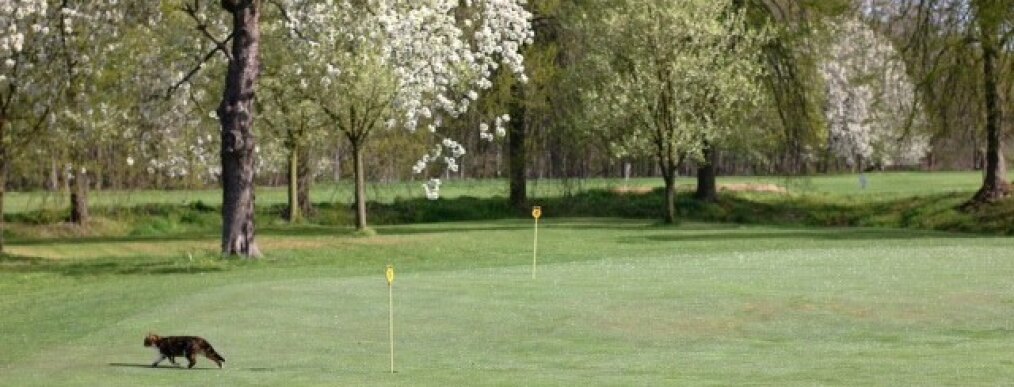 Clubs In Der Nähe Jetzt Geöffnet Golfclub