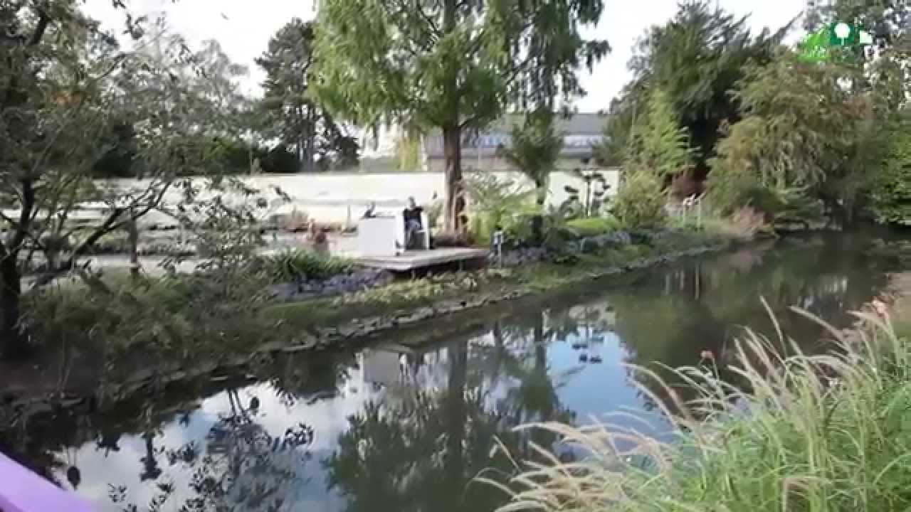 Toom Baumarkt Bergheim Zieverich Sportparkstraße Bergheim Grasland Gärtnerei in Bergheim Zieverich im Film. Auf dem ehemaligen