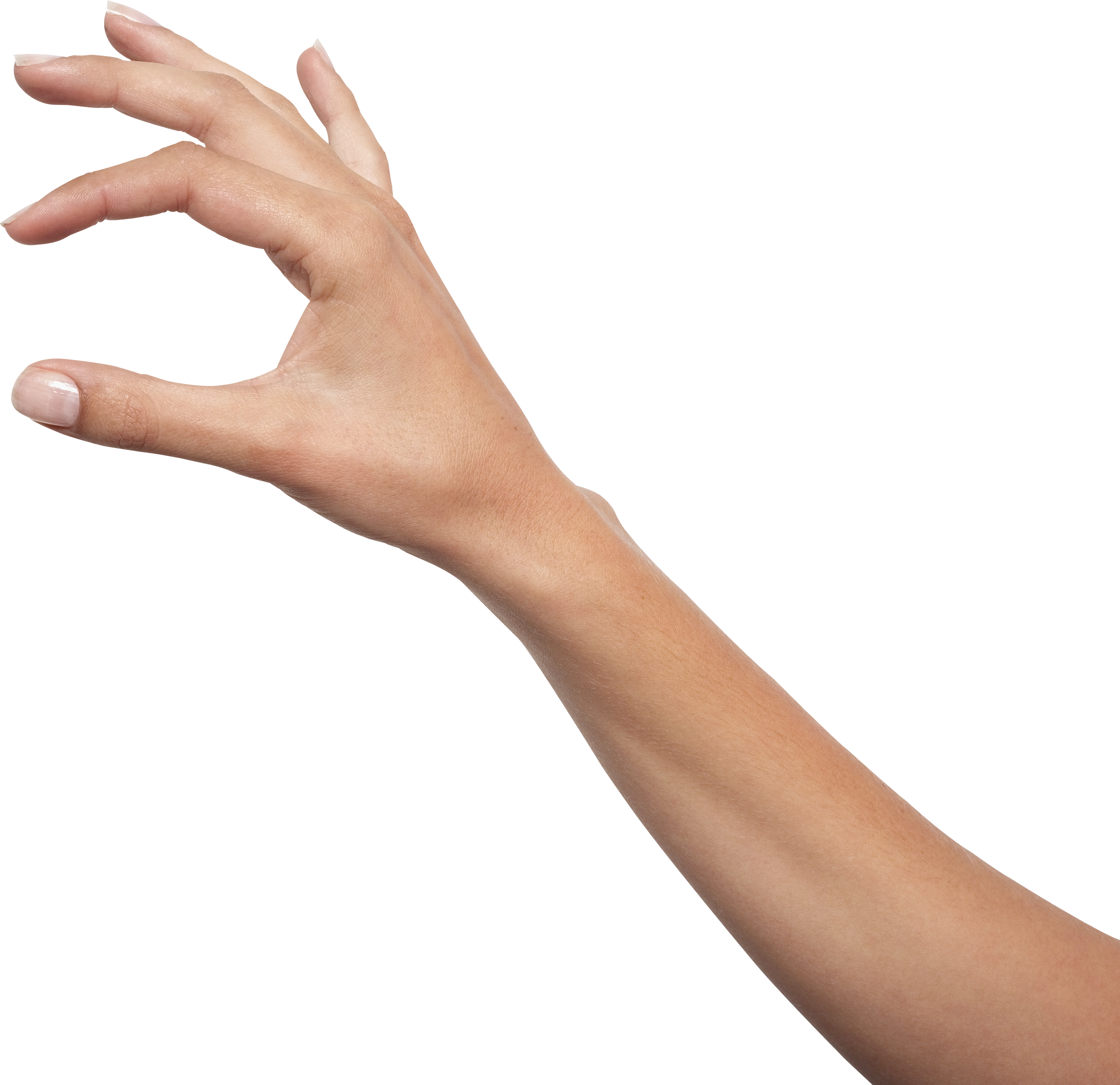 Hand Mund Fuß Krankheit Meldepflicht Hands PNG, hand image free