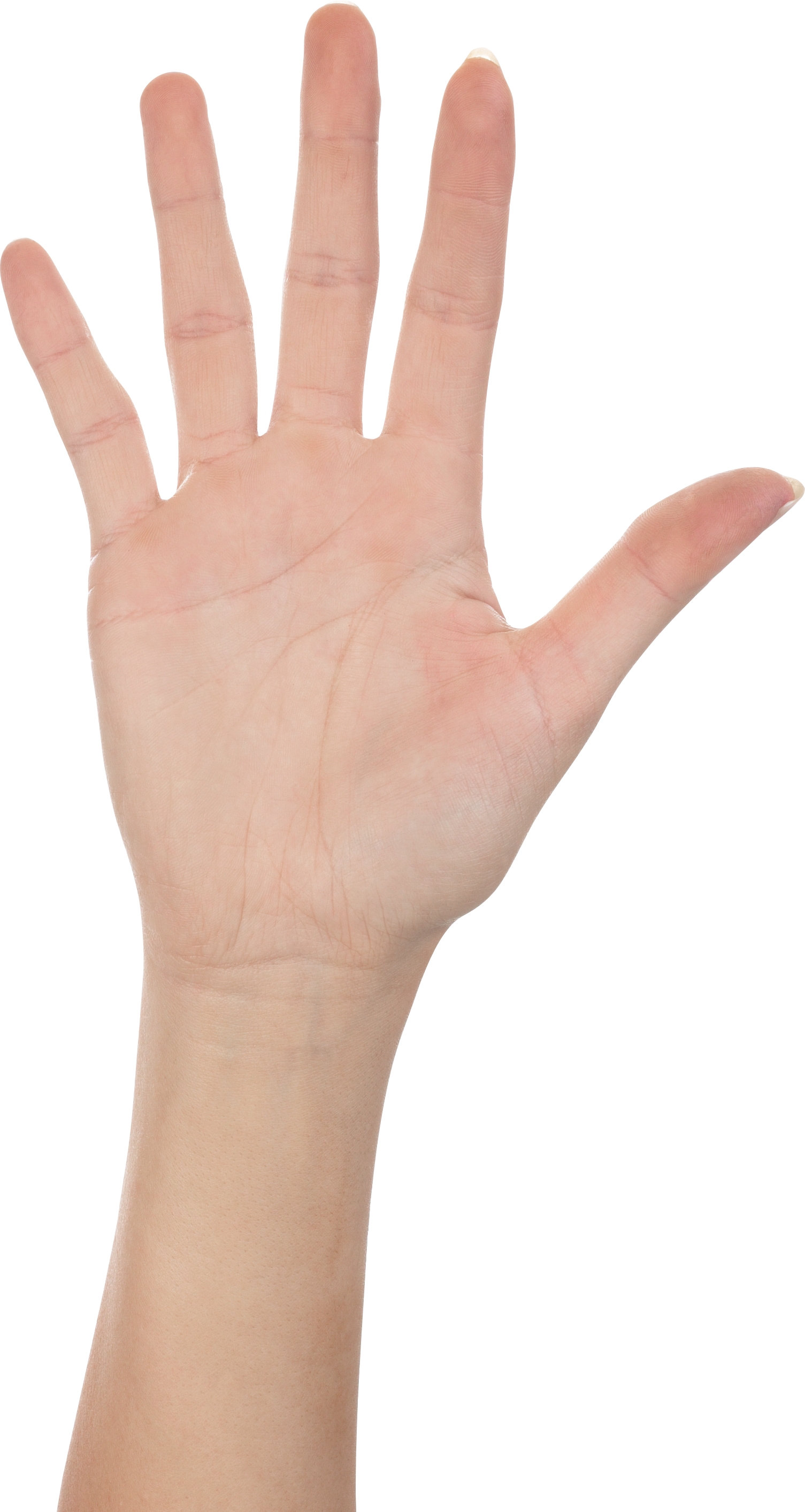 Hand Mund Fuß Krankheit Meldepflicht Hands PNG, hand image free