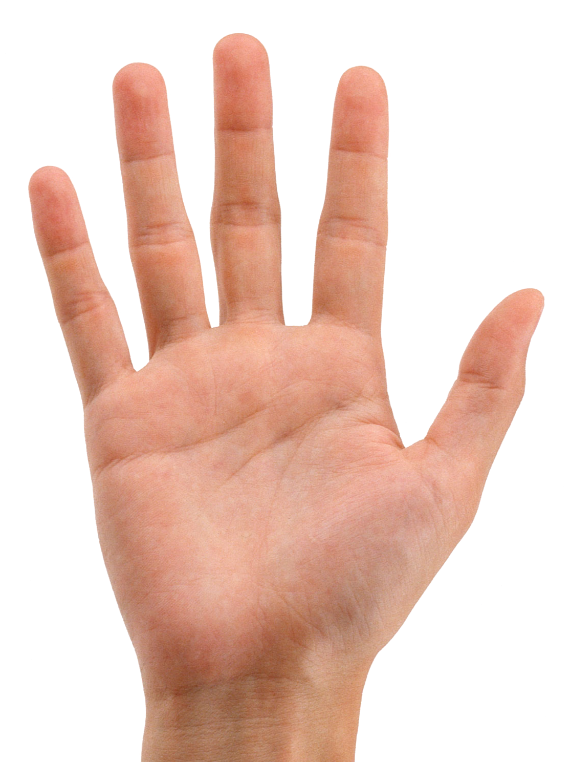 Hand Mund Fuß Bläschen Ausgetrocknet