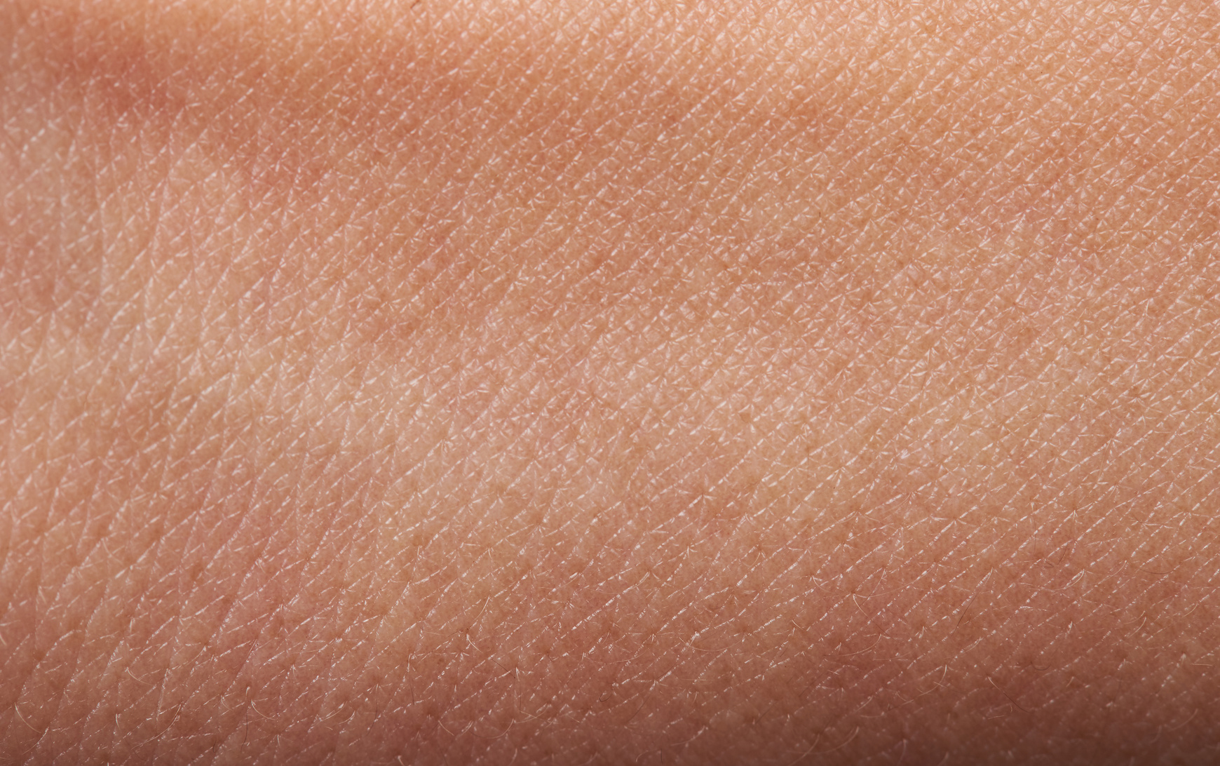 Hautärzte & Allergologie Schubert Konrad Eggert Ruppert Haut (cutis) – Funktion und Aufbau – Heilpraxis