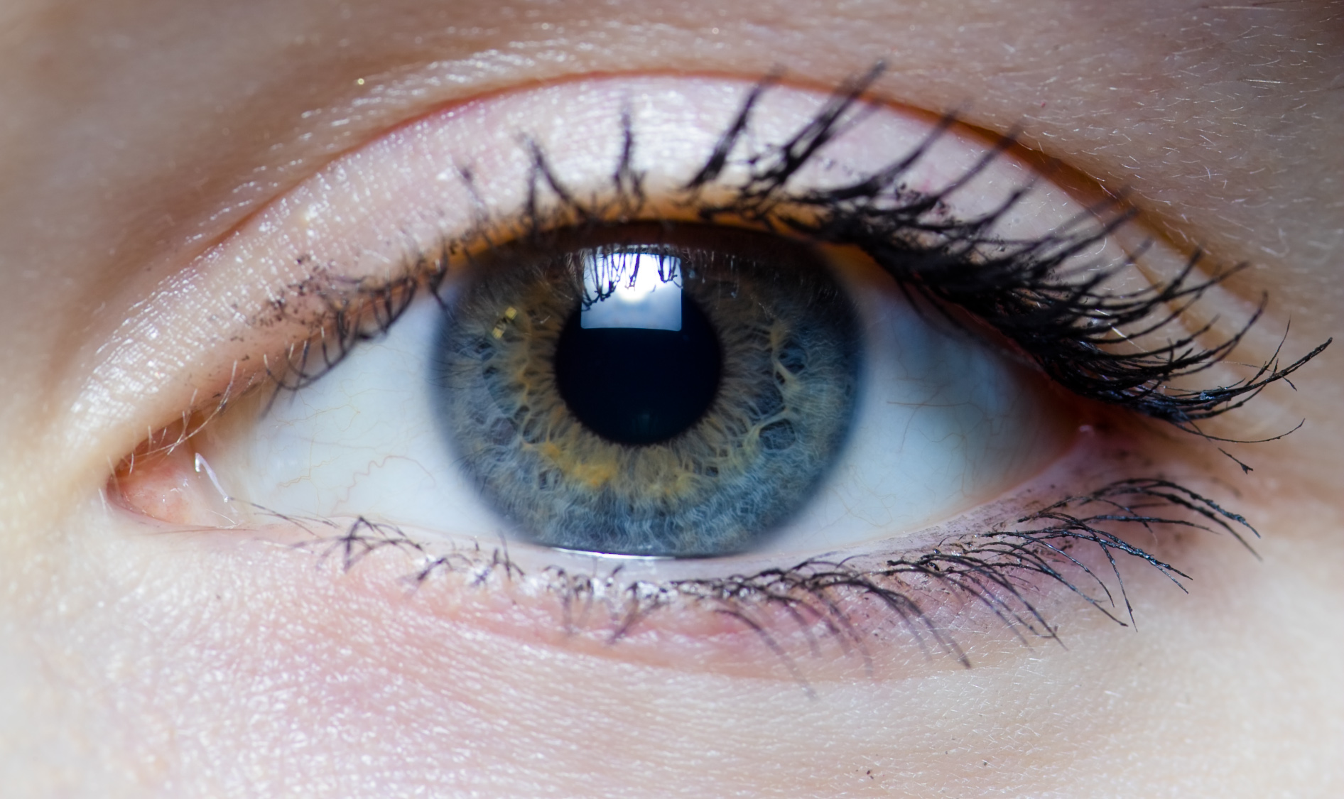 Eyes And More Koblenz Löhr Center Healthy Eyes, Healthy Body :: Whole Health Club