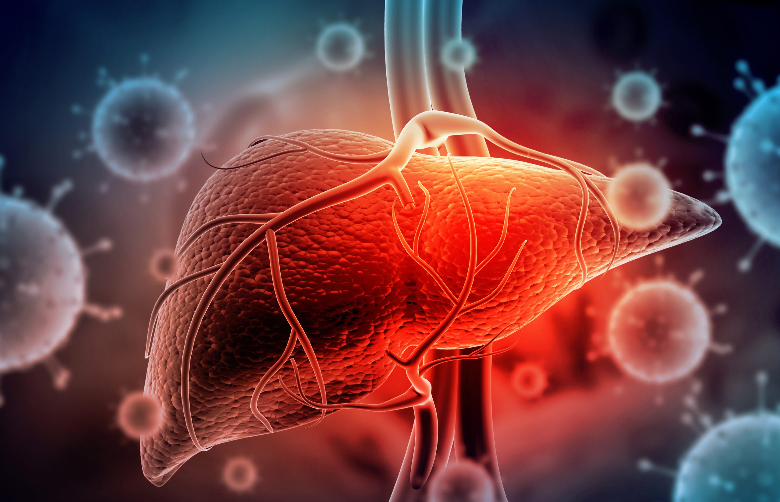 Hepatitis E übertragung Mensch Zu Mensch