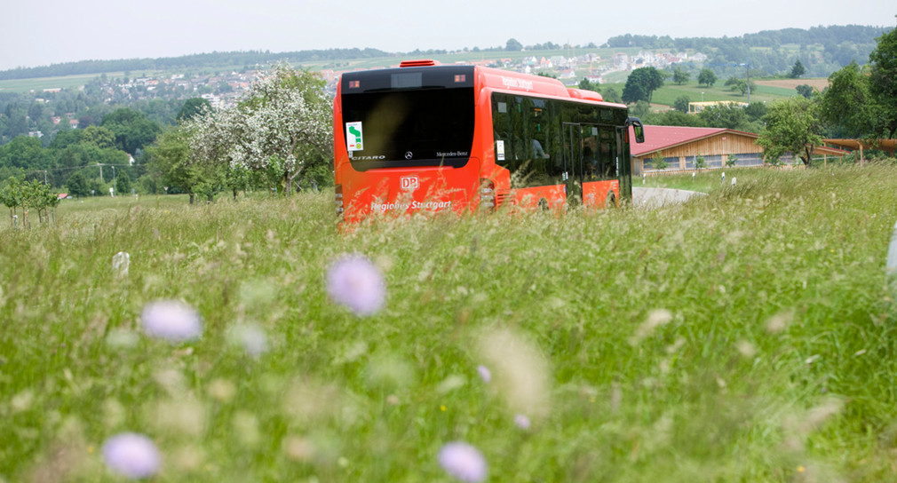 Hermann Busse Gmbh & Co. Kg Hermann kündigt zusätzliche Busse für den Schülertransport an