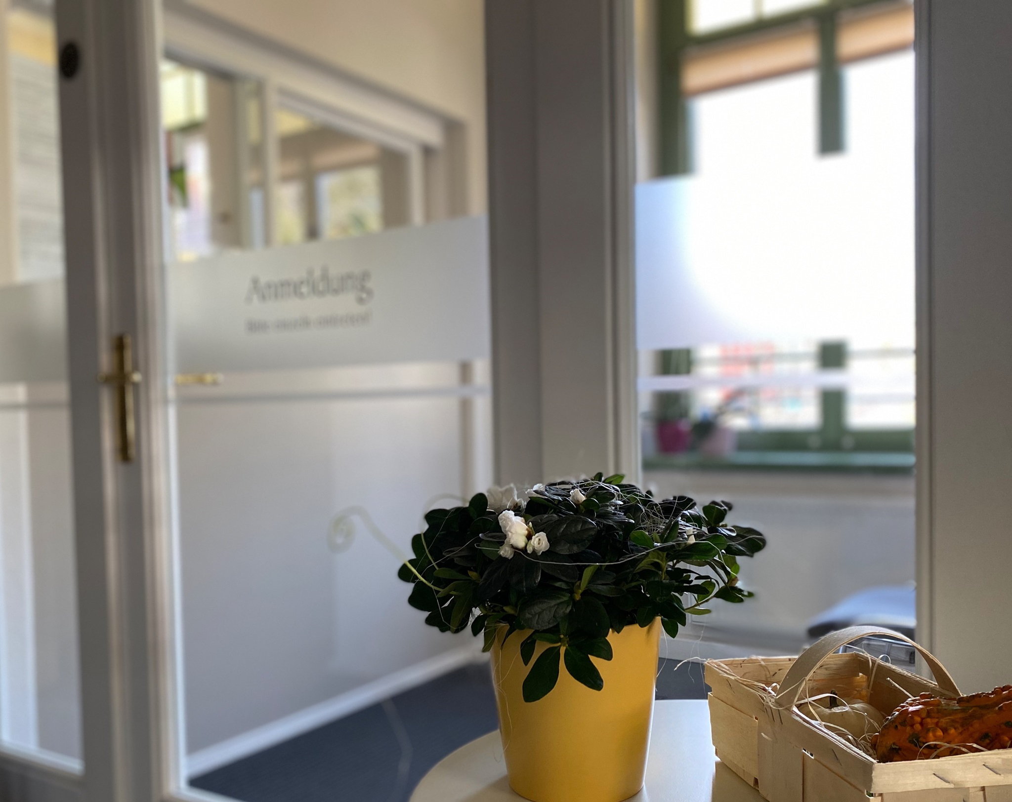 Hautarztpraxis Hindenburgstrasse - Dr. Med. Lisa Löhberg Herzlich willkommen!