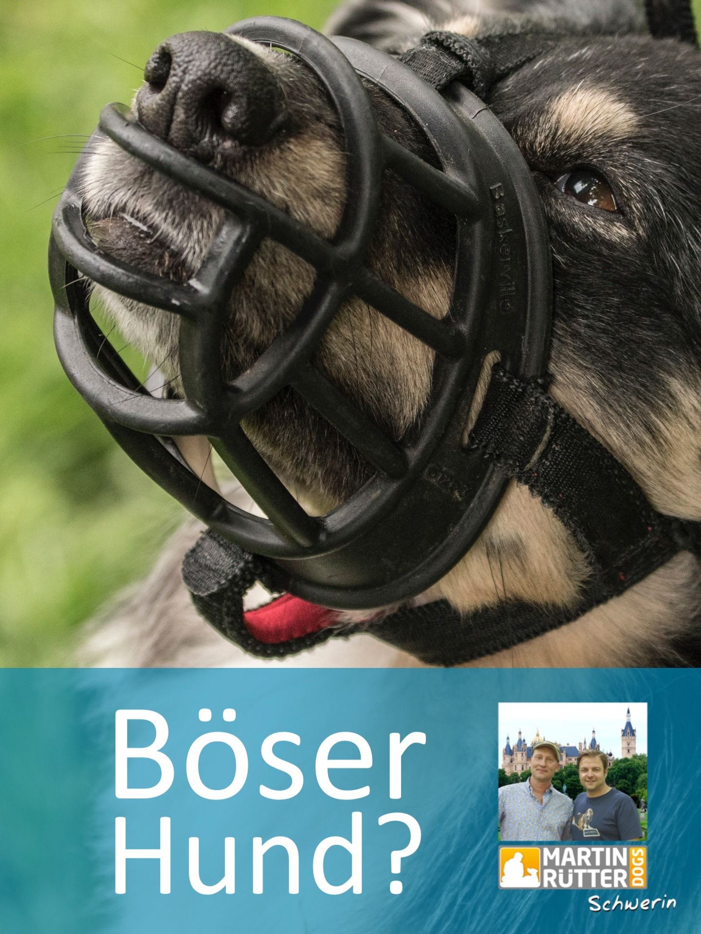 Welche Hunde Müssen Einen Maulkorb Tragen