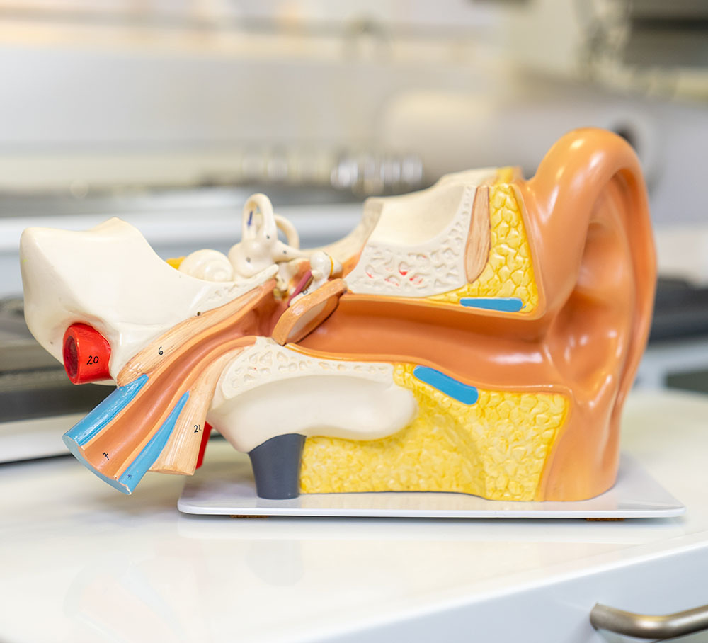 Hno Tinnitus-zentrum Allergologie Dr. Gessendorfer / Dr. Michelson HNO Leistungen von „A“ bis „Z“