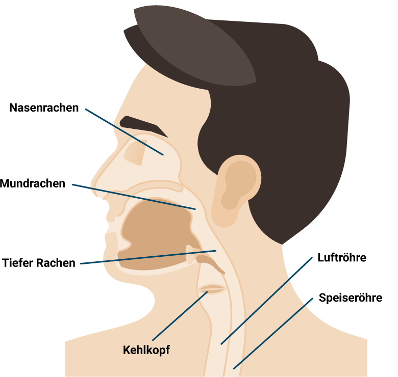 Hals Nasen Ohren Arzt Bad Kissingen HNO Oldenburg | Hals | Wissenswertes und Krankheitsbilder