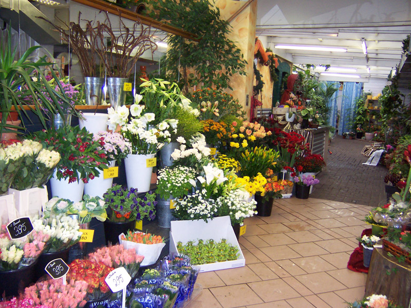 Sonntags Blumen Kaufen In Der Nähe Holland Blumen – Startseite