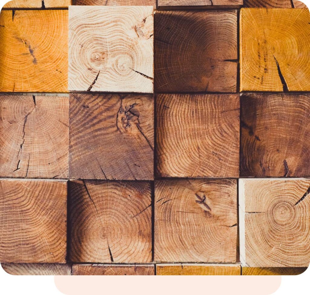 Holz Fey Erich Fey Gmbh & Co Kg Holz: Zehn Fakten | B+M HolzWelt