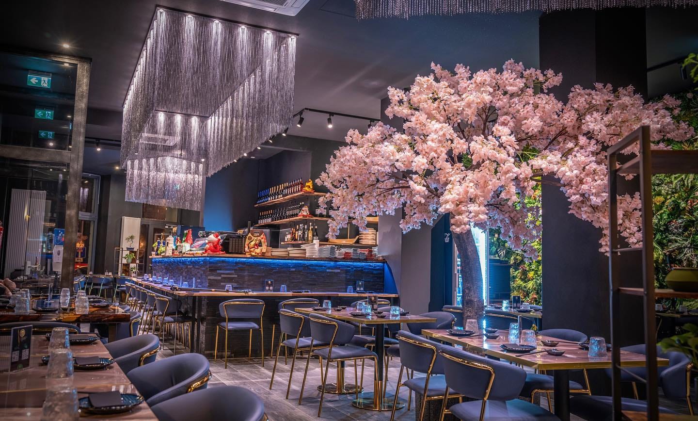 Taumii Restaurant Sushi & Asia Fusion Home | Ishi Fusion Sushi Restaurant