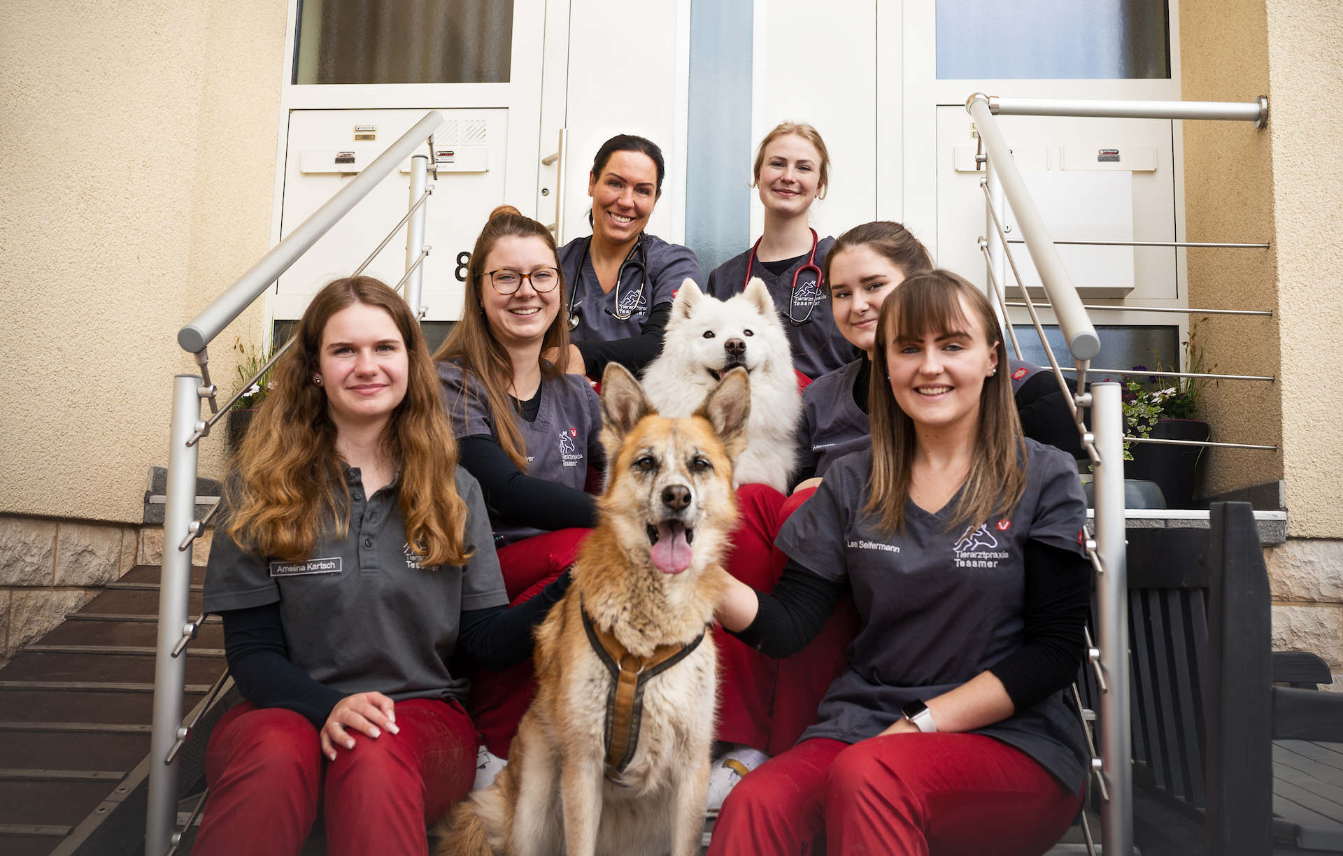 Tierarztpraxis Gerresheim - Dr. Med. Vet. Waltraud Gauls Home - Tierarztpraxis Tessmer