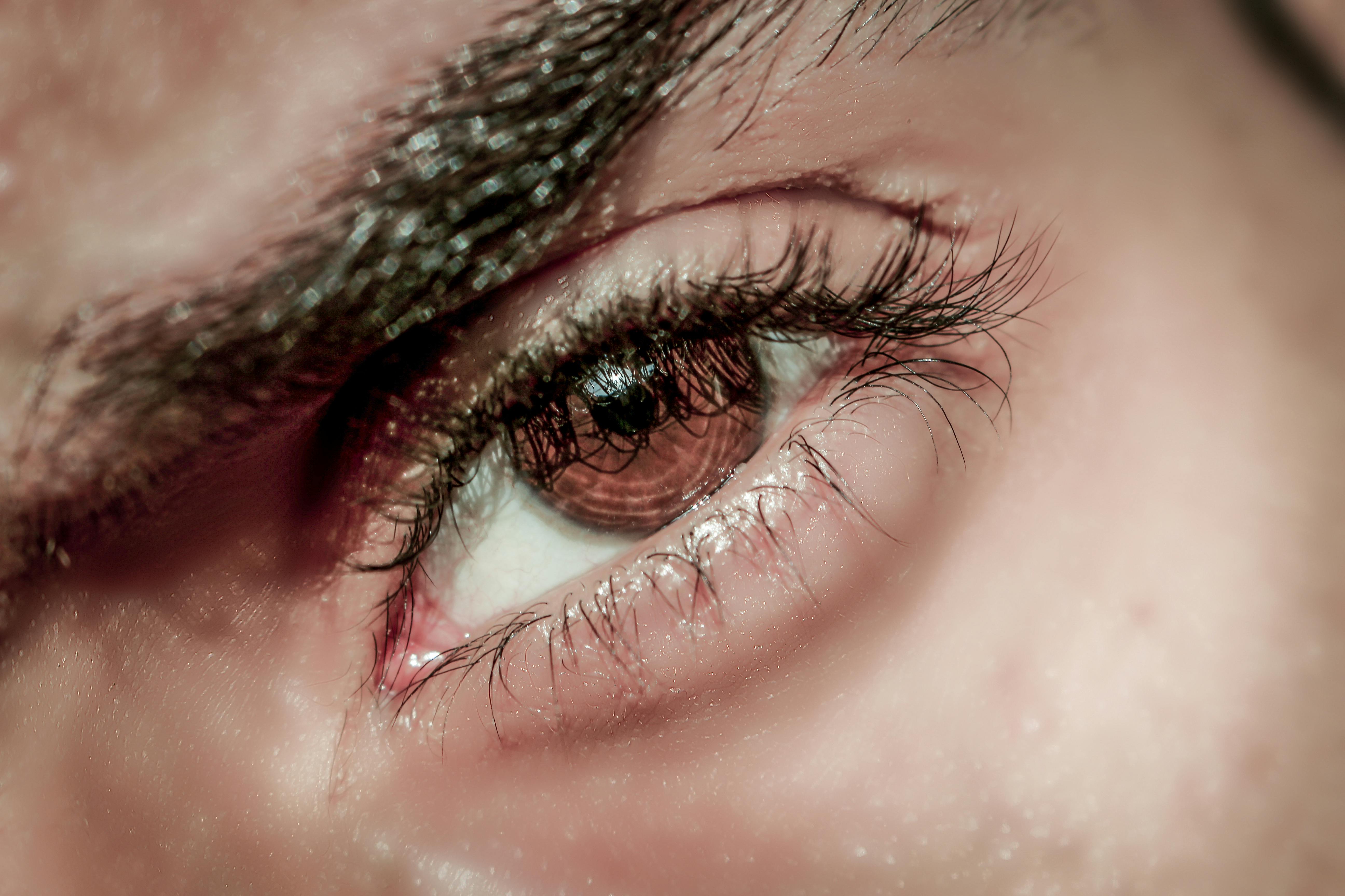 Eyes And More Koblenz Löhr Center Human Eye Close-up Photography · Free Stock Photo