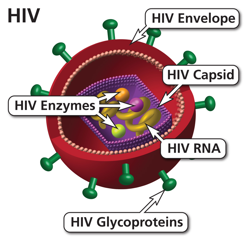 Hiv Wie Kann Man Sich Anstecken