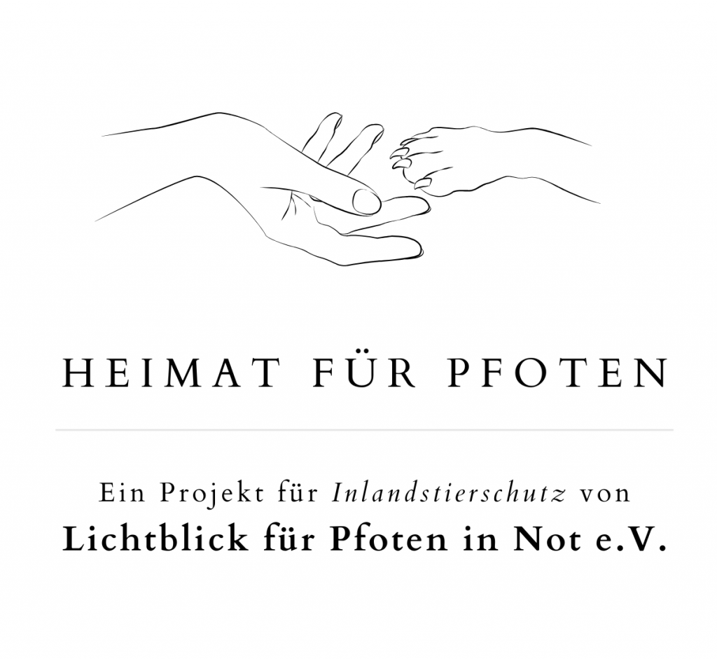 Hundeschule Für Kleine Hunde In Der Nähe Hunde - Heimat für Pfoten