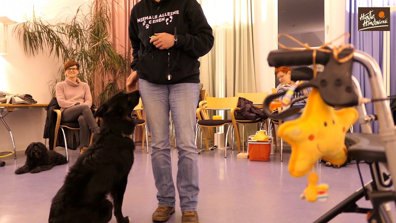 Huni Hunde-uni I Hundeschule In München An Der Isar Hundeschule Hund-mit-Mensch-Schule / hundehandwerk / Nentschau - YouTube