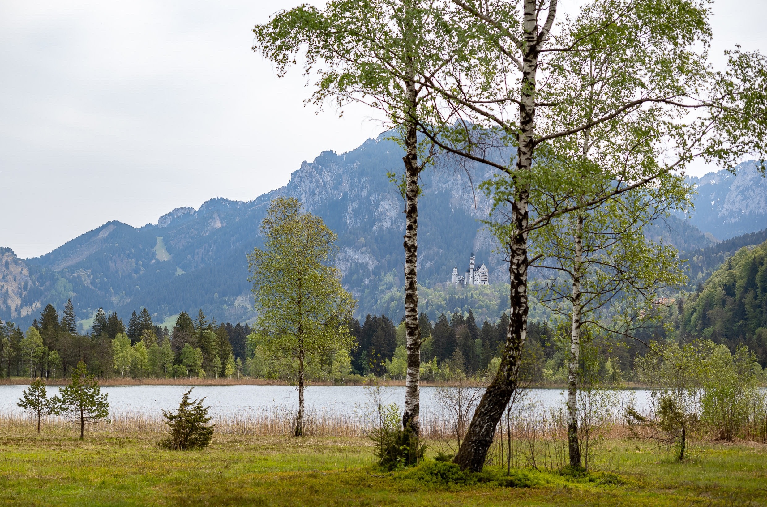 Die 10 Besten Restaurants Im Allgäu Im Allgäu - Landschaft & Reise - Leica Forum