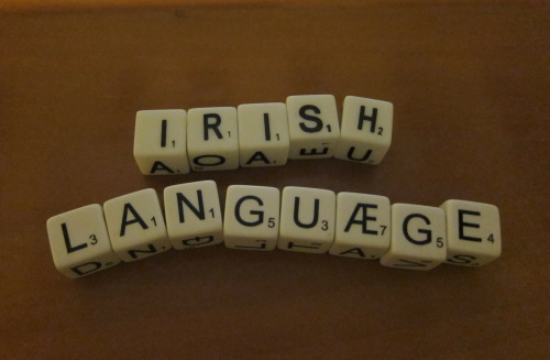 Irish Pub & Restaurant Paddy Foley's Irish Gaelic Language Learning: Month 1 Overview