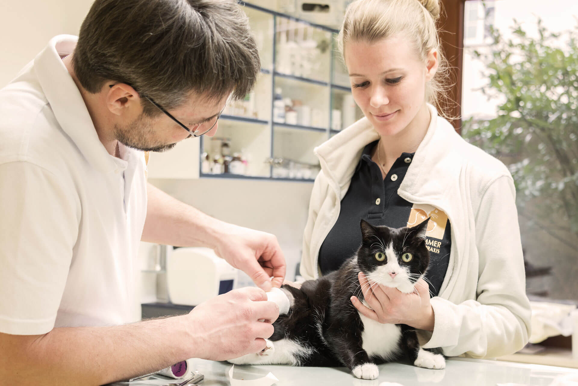 Tierarzt Dr. Frank Dieffenbacher Praxis Für Groß & Klein Ist der Tierärztliche Notdienst zunehmend vor dem AUS? - Der Beginn der