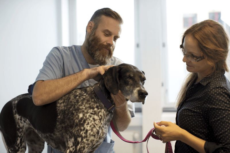 Anicura Recklinghausen - Tierärztliche Klinik Für Kleintiere Rezensionen Jobs list - AniCura Group