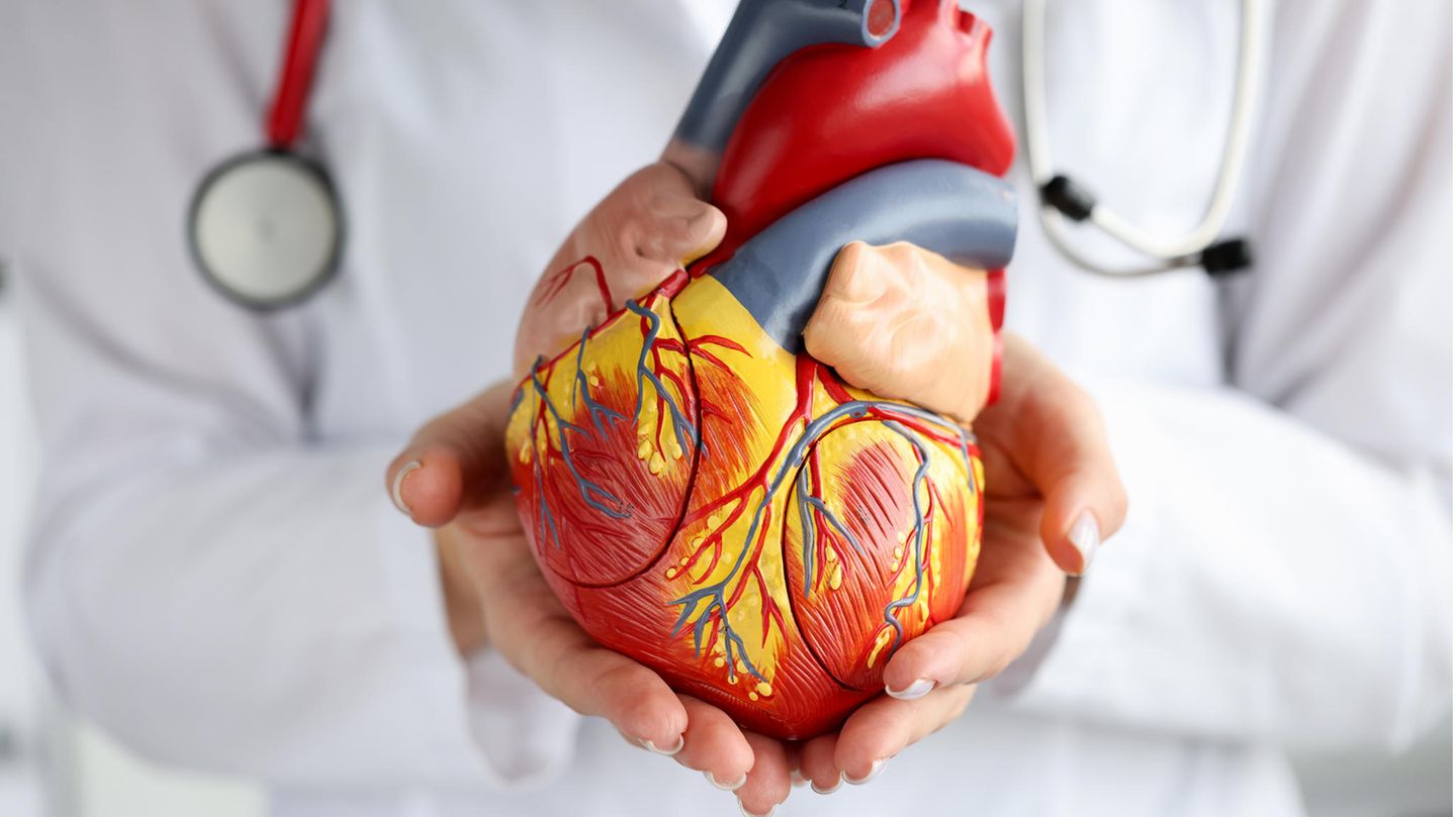 Kardiologie Weinheim - Dres. Med. Ines & Florian Streitner Kardiologie: Das sind ausgezeichnete Ärzte ganz in Ihrer Nähe | STERN.de