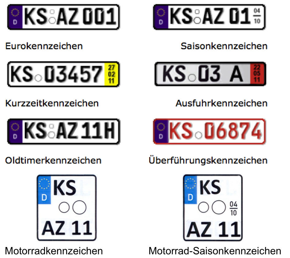 Kennzeichen Der Lebewesen Klasse 5