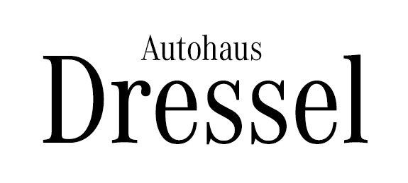 Dressel Pkw-service Gmbh & Co. Kg