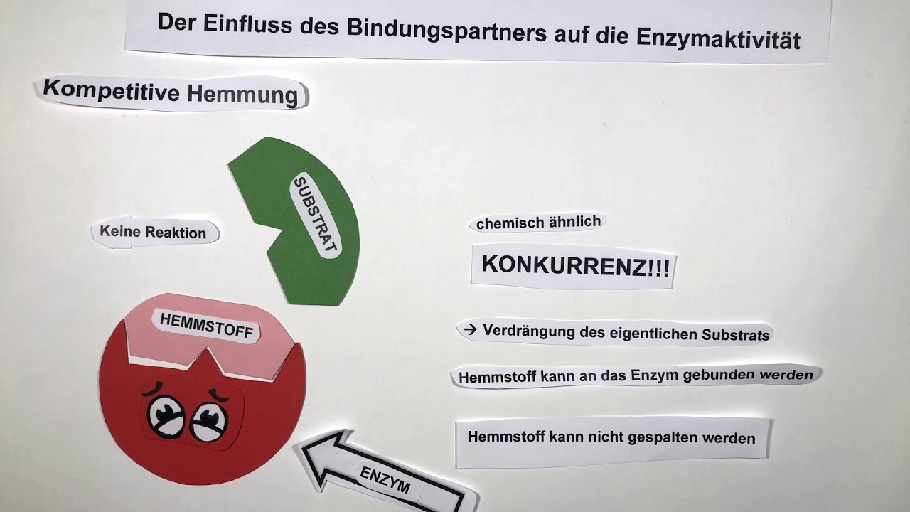 Kompetitive Und Nicht Kompetitive Hemmung Kompetitive und Allosterische Hemmung - Biologie. - YouTube