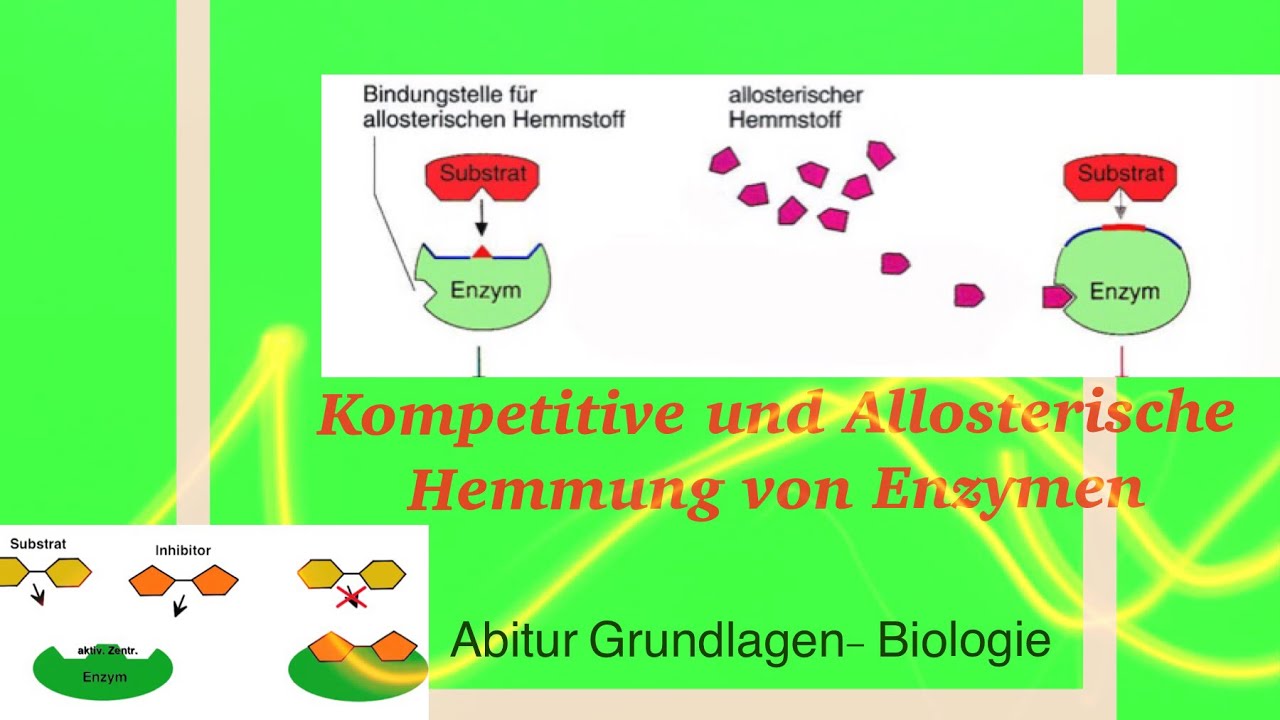 Kompetitive Und Nicht Kompetitive Hemmung