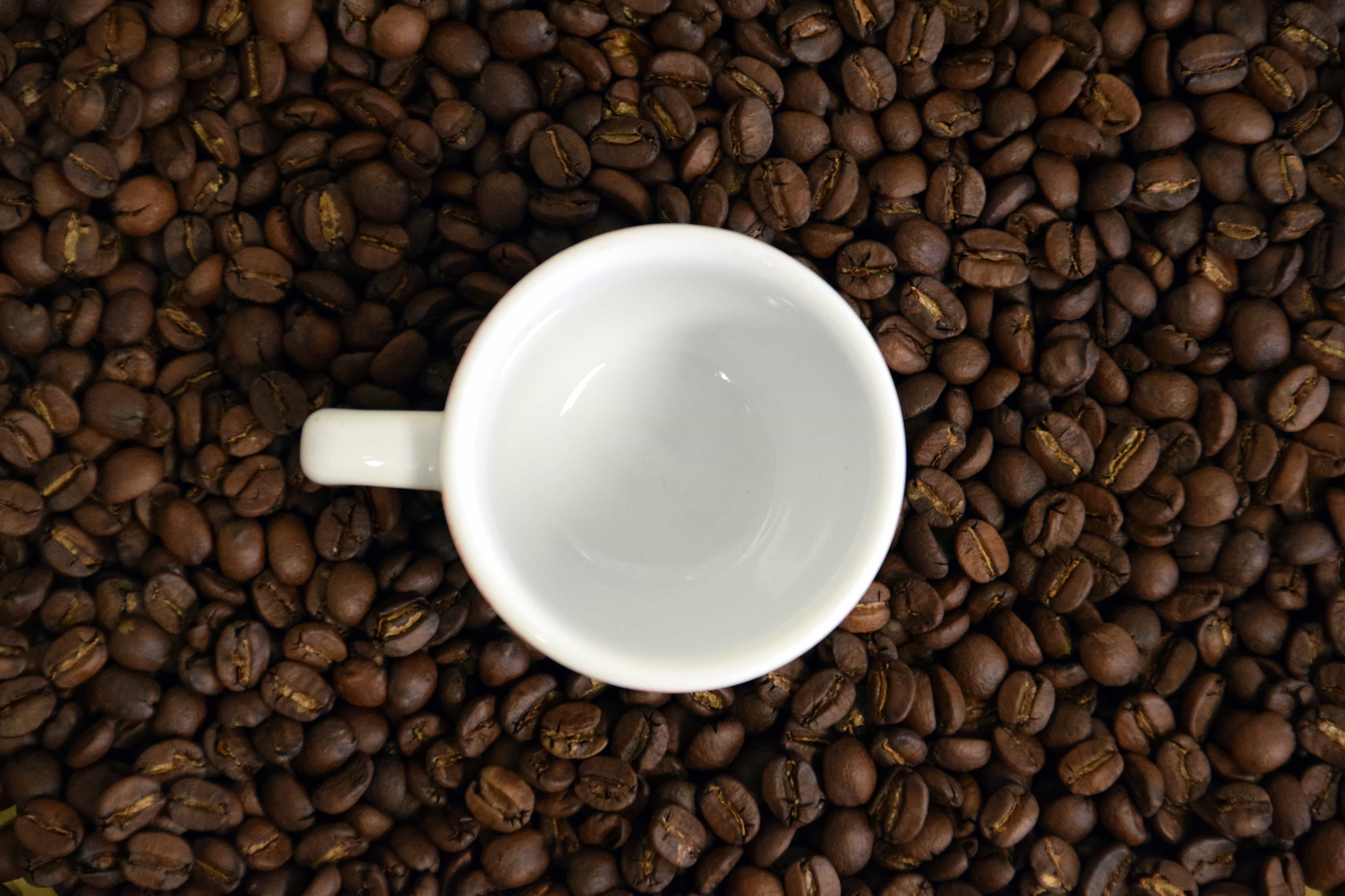 Kaffee In Der Nähe Von Meinem Standort Kostenlose Bild: Bohne, Koffein, dunkel, Cappuccino, Getränk, Espresso