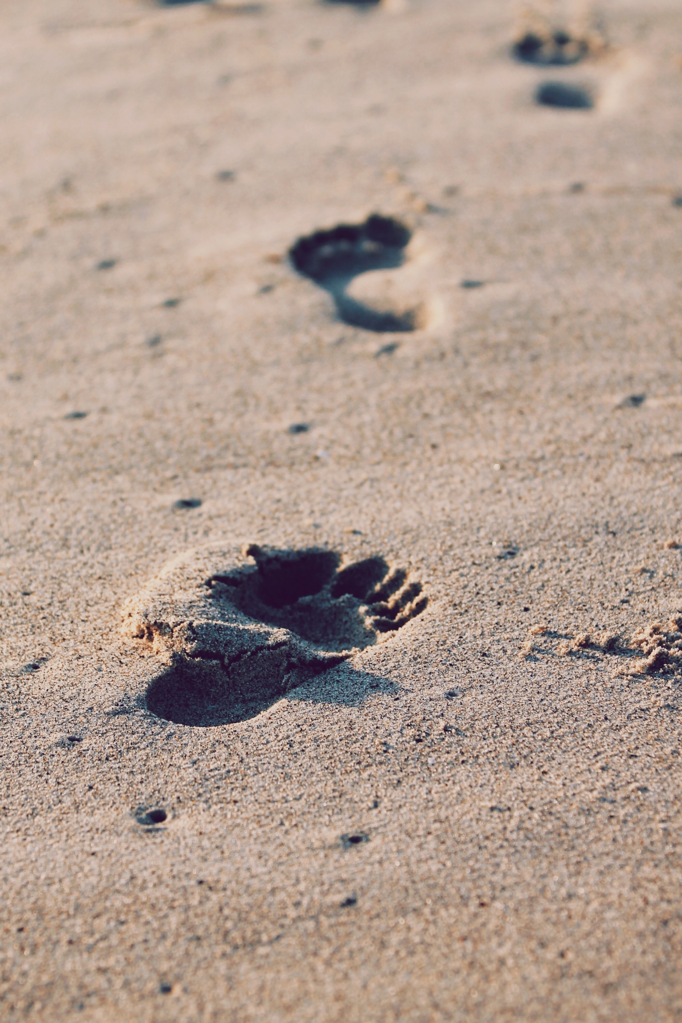 Schritte Plus Neu 5 B1.1 Kursbuch Kostenlose foto : Strand, Meer, Sand, Rock, Fußabdruck, Füße, Kind