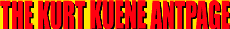 Wie Aktiviere Ich Mein Online Ausweis Kuene Antpage