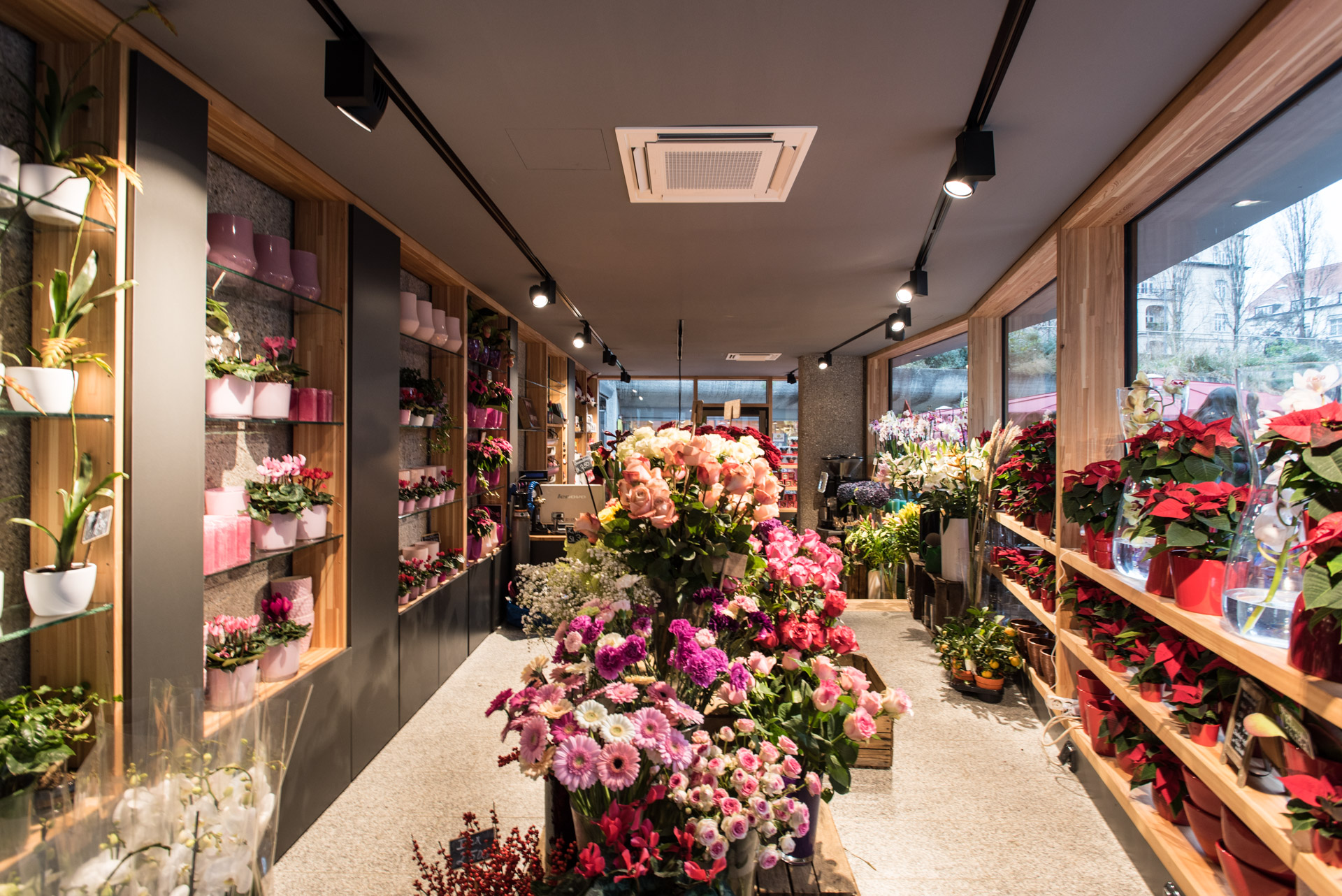 Blumenläden In Der Nähe Sonntags Geöffnet