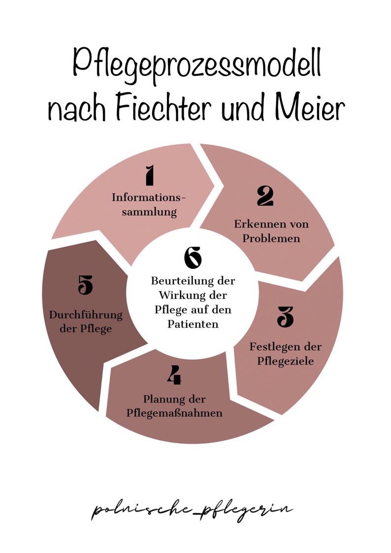 Pflegeprozessmodell Nach Fiechter Und Meier
