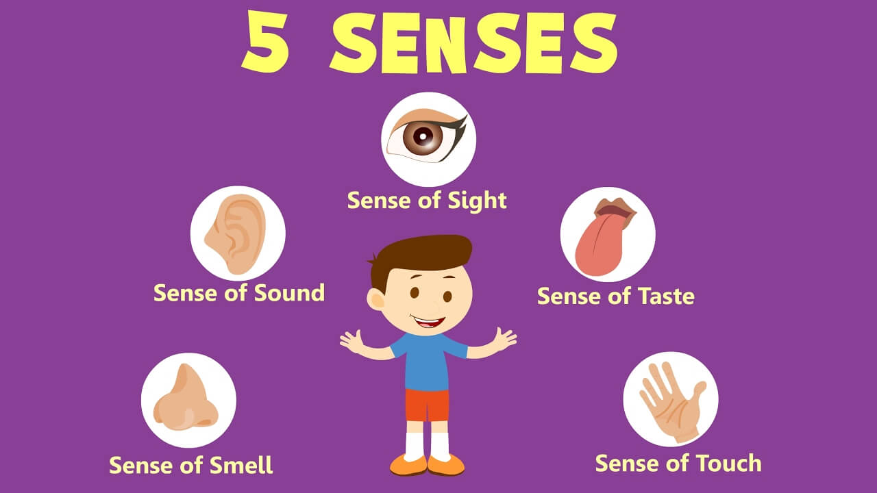 Sense Of Thai - Massage & Wellspa