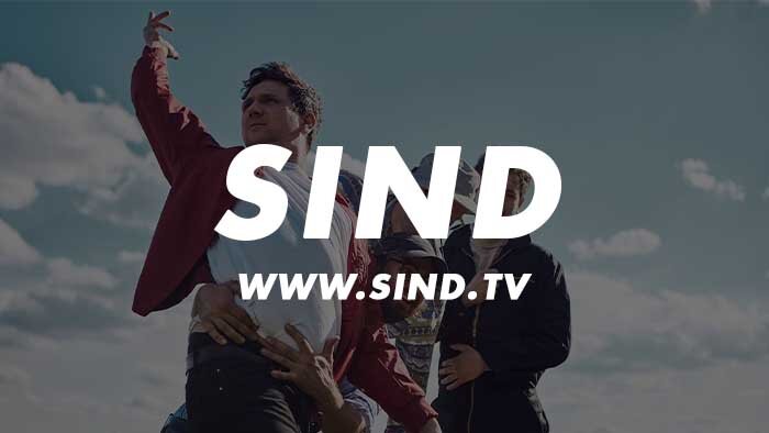 Sind Flöhe Auf Menschen übertragbar