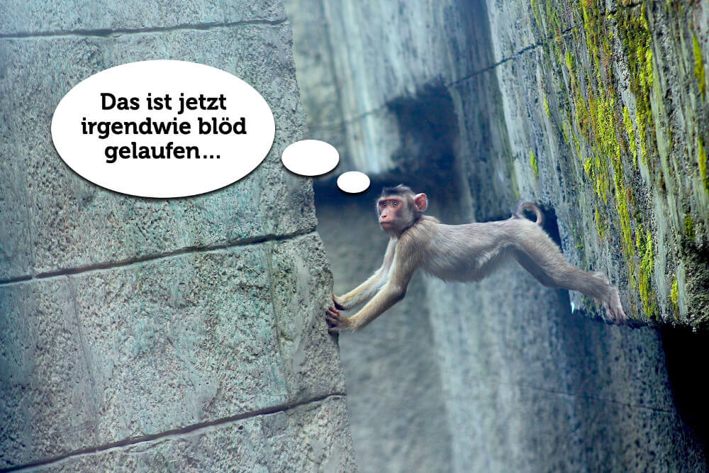 Lustige Sprüche Zum Abschied Einer Kollegin