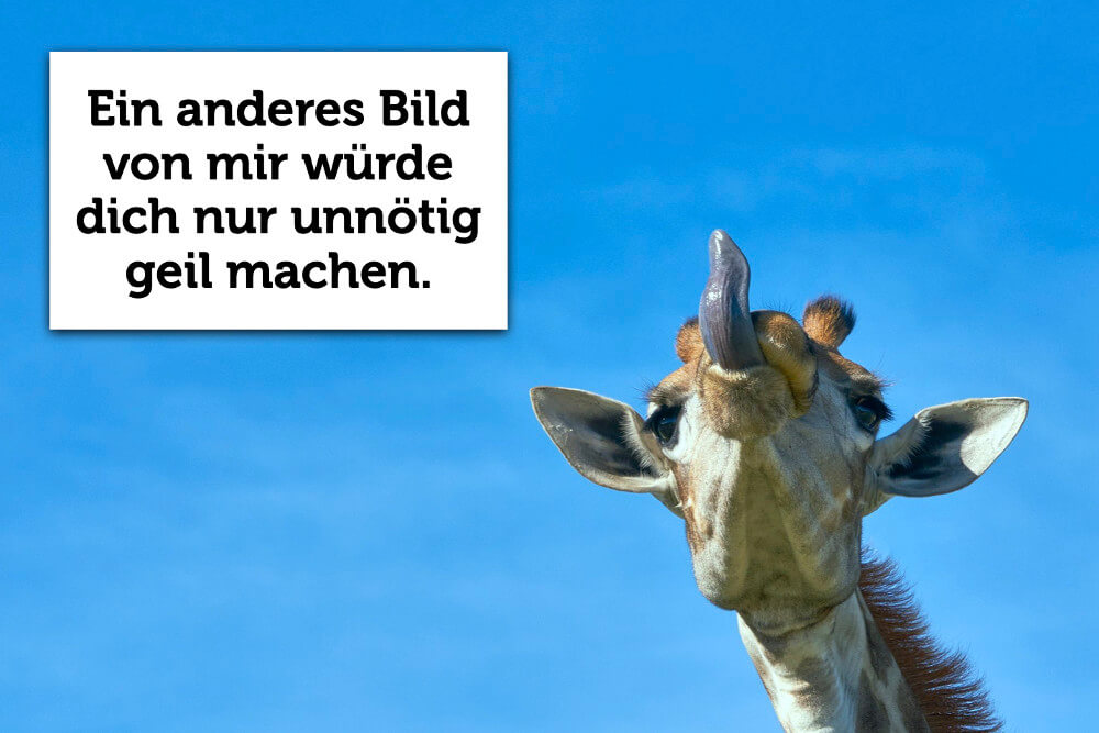 Lustige Sprüche Zum Abschied Einer Kollegin Lustige Bilder + witzige Sprüche: Kostenlos zum Lachen