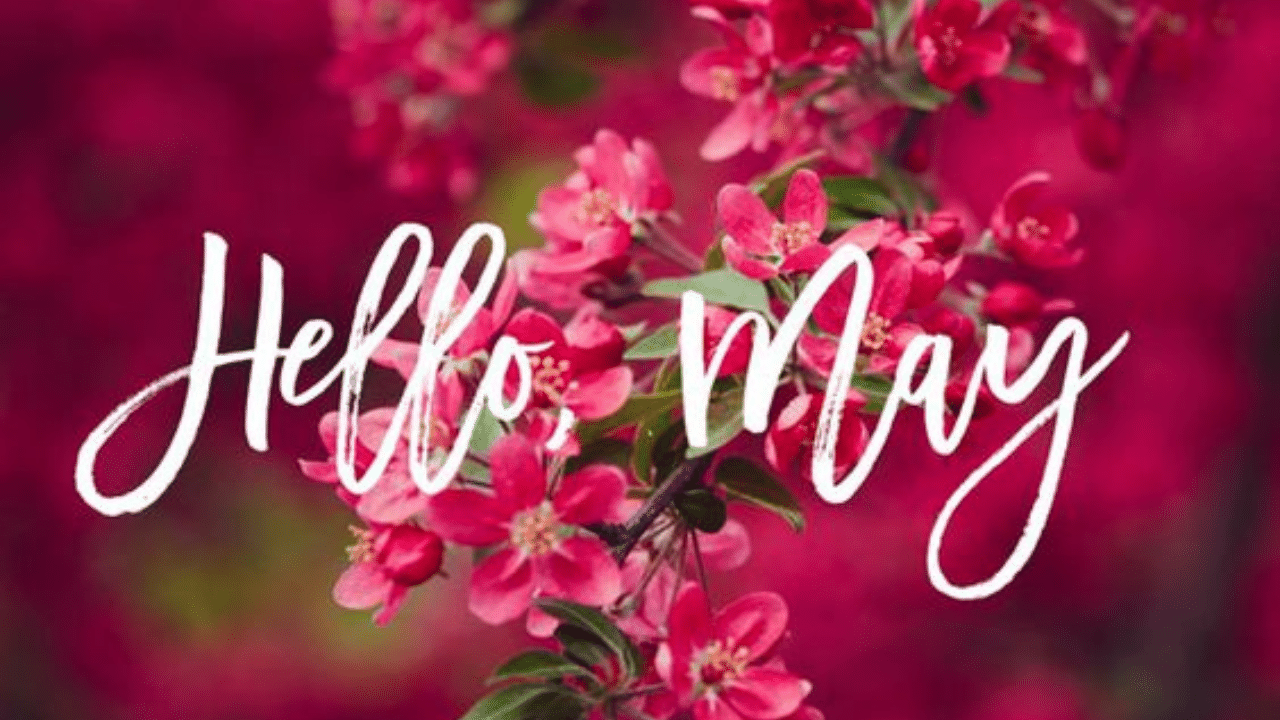 May Cake Café Konditorei Die Geburtstagstorten Hochzeitstorten Manufaktur May month quotes: Quotes on May | May motivational quotes | Hello May