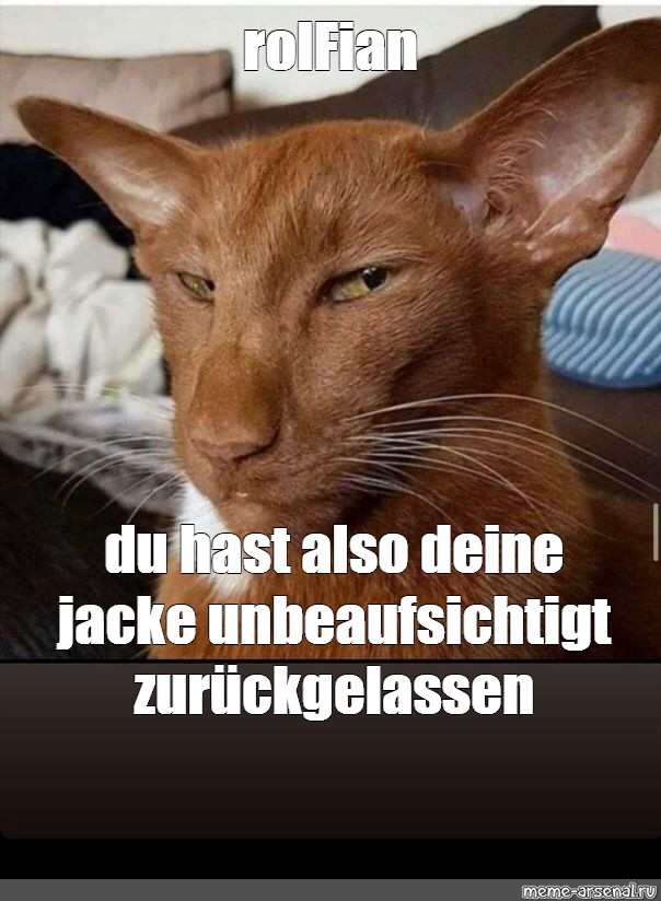 Lustige Gedichte Von Erich Kästner Meme: "rolFian du hast also deine jacke unbeaufsichtigt zurückgelassen