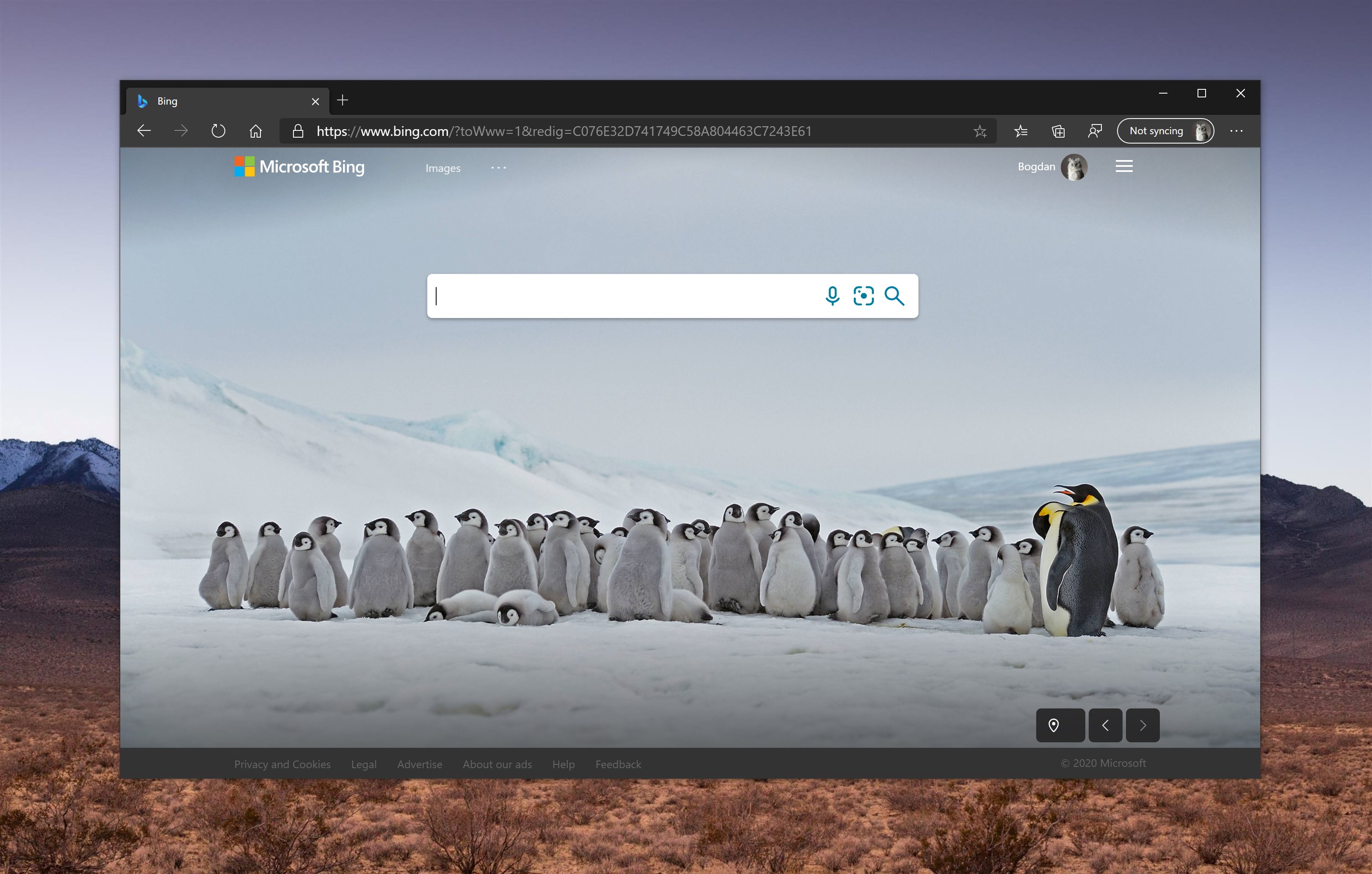 Betreutes Wohnen Mülheim An Der Ruhr Microsoft Bing Is Microsoft’s Refresh Rival to Google Search