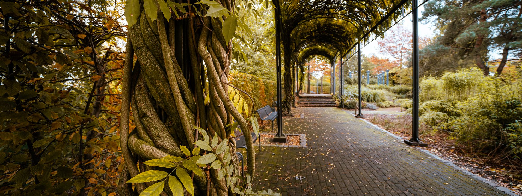 Rezensionen Für Ristorante La Vetra Mülheim An Der Ruhr